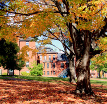 Autumn Comes to Campus