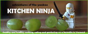 Ninja Kitchen blog