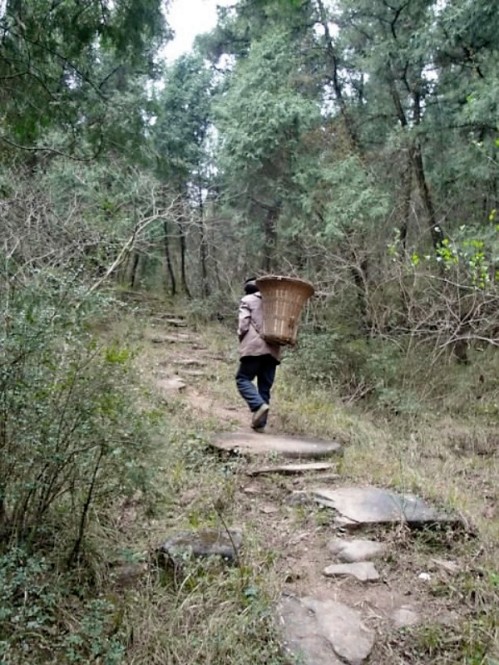 Man carrying wood along ancient Chinese road