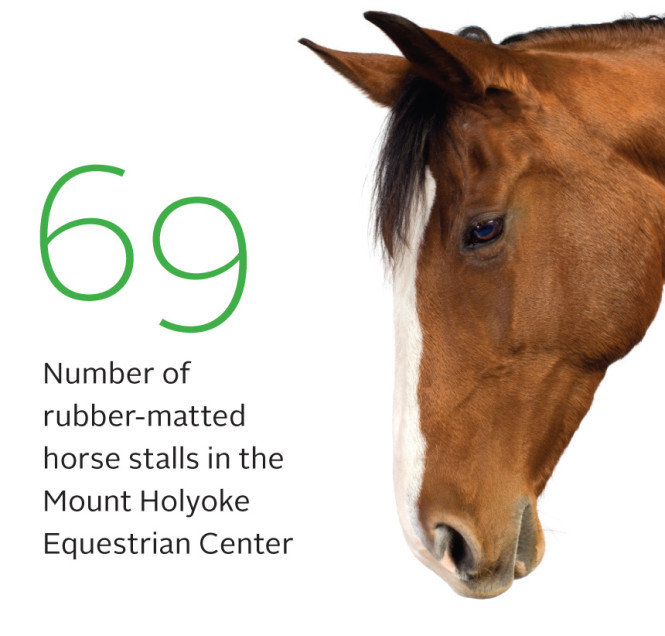 Number of horse stalls