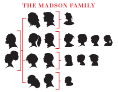 Maven Genealogy