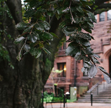 Mount Holyoke Endowment