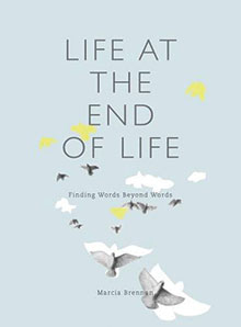 Life at the End of Life book cover