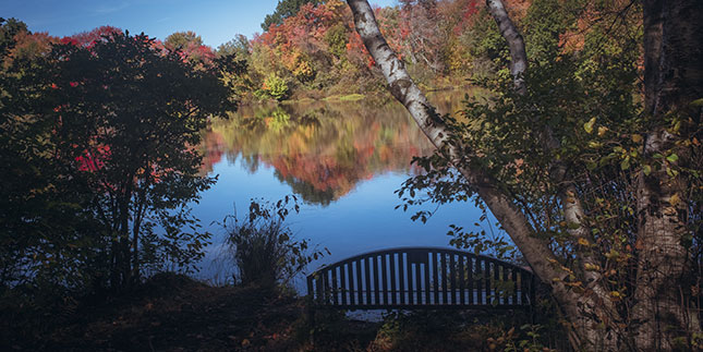 Fall foliage at Upper Lake