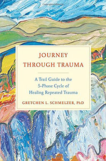 Journey Through Trauma book cover