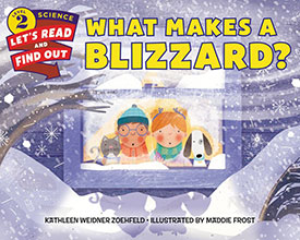 What Makes a Blizzard book cover