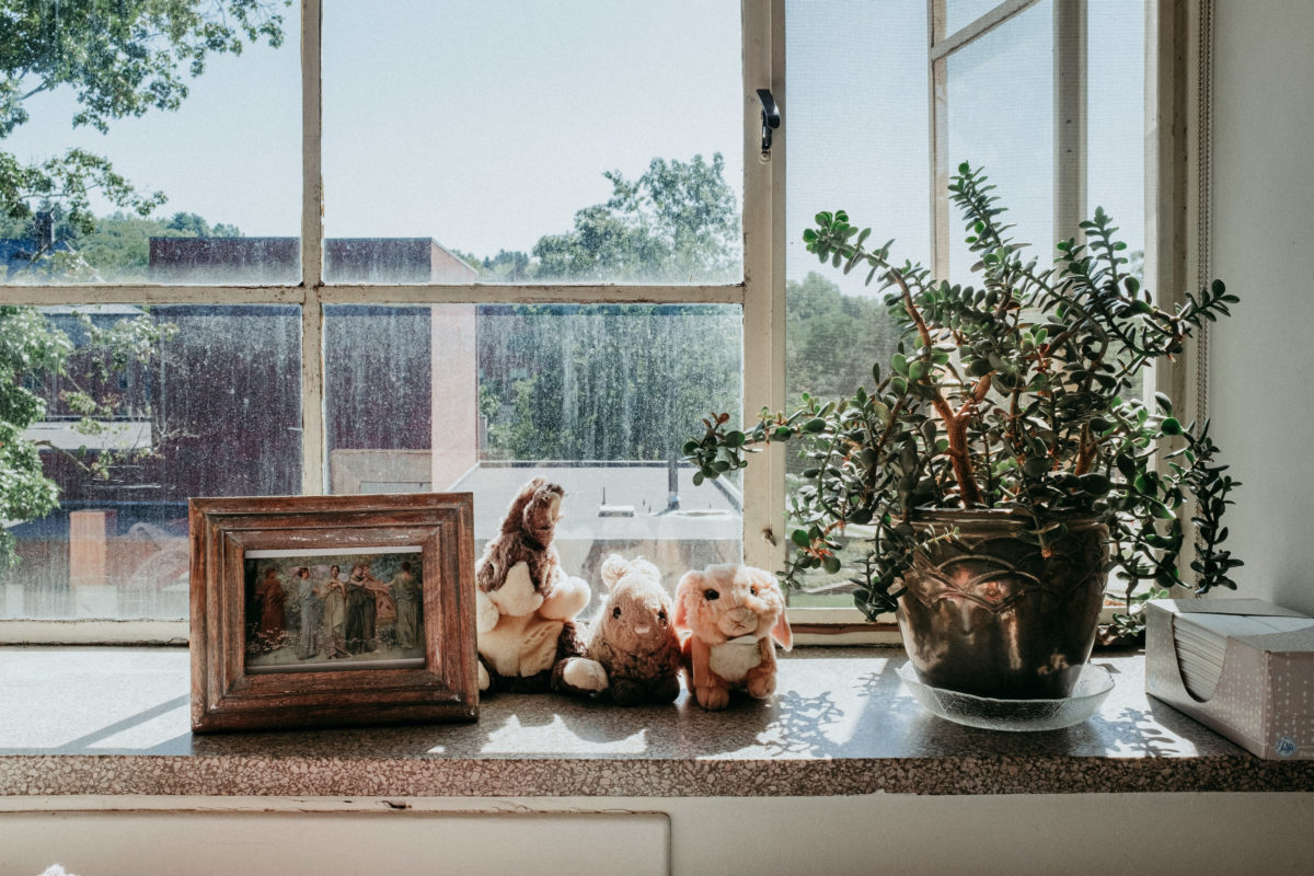 On the windowsill of a room in Buckland Hall sit a wooden picture frame, a succulent in a large metal pot and three stuffed animal bunnies. The top of Rooke Theatre can be seen from the window.